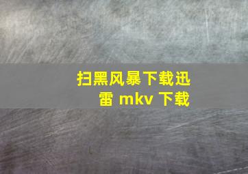 扫黑风暴下载迅雷 mkv 下载